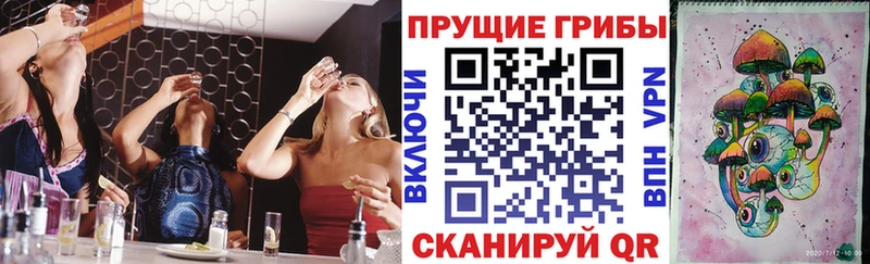 Галлюциногенные грибы Cubensis Тимашёвск